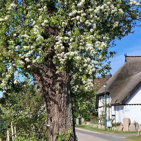 Apartamento Ich Kenne Ein Haus Am