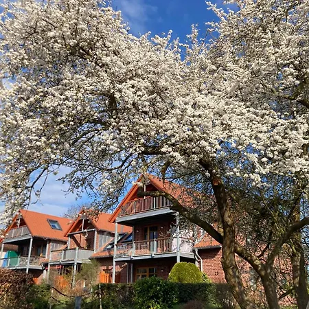 Ich Kenne Ein Haus Am Apartamento