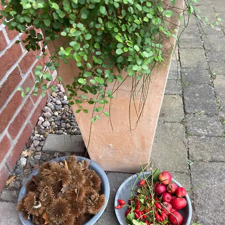 Ich Kenne Ein Haus Am *
