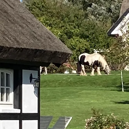 Ich Kenne Ein Haus Am *